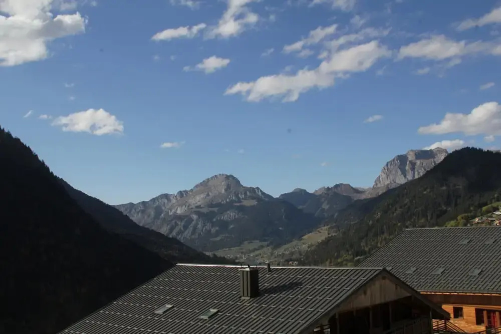 Voir la photo 1 — Apartment in Chatel With ski Locker