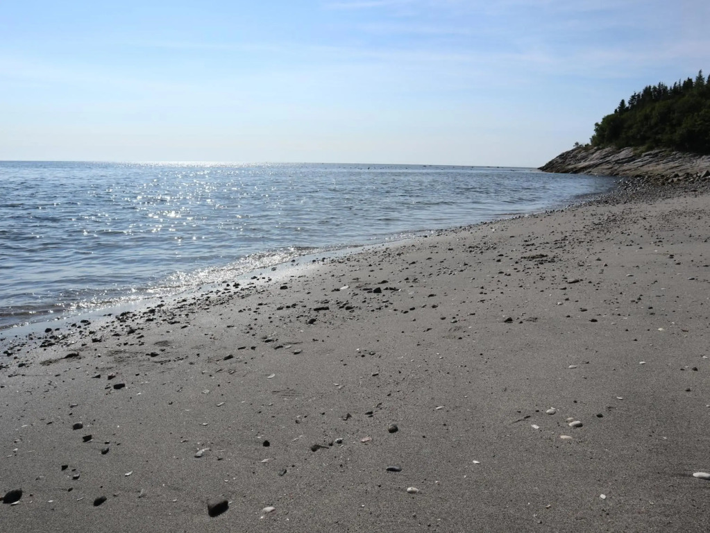 Hôtel Le Manoir - фото 13