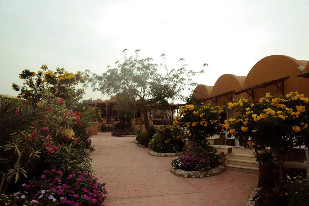 Silver Beach Boutique Hotel - фото 18