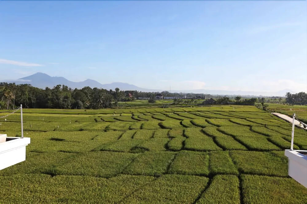William's Place Bali - фото 30