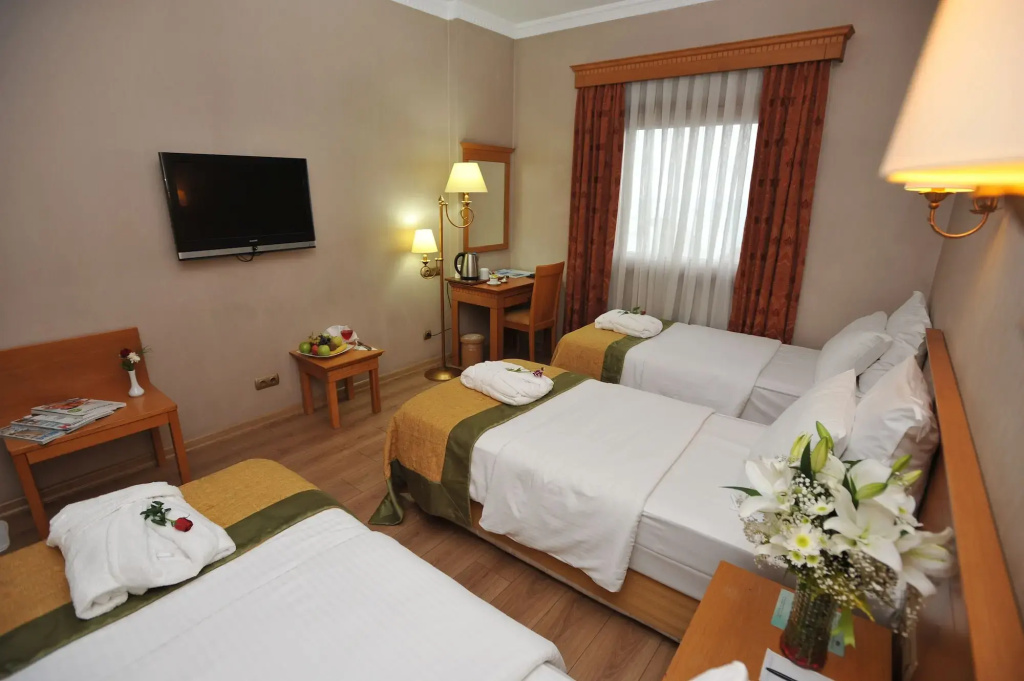 Hotel photo 12