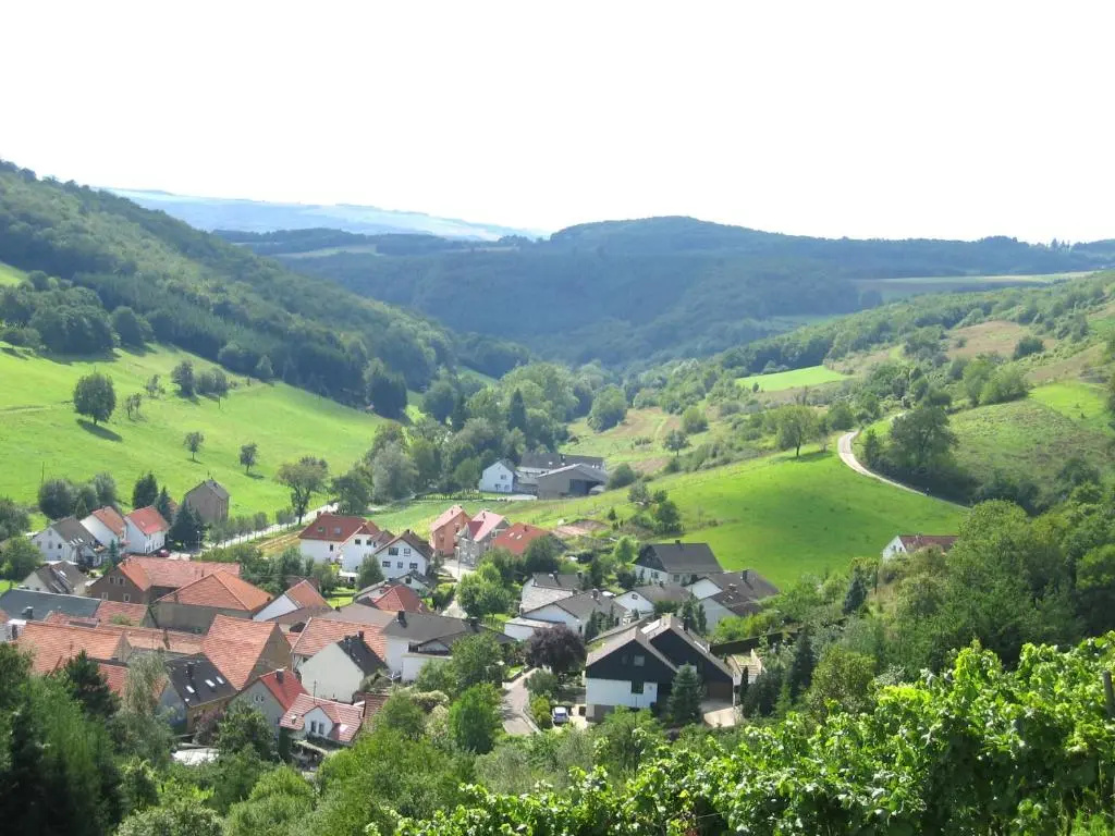 Weingut Hees - Landgasthof Zum Jäger aus Kurpfalz - Général