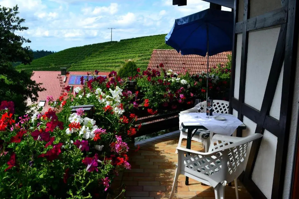 Haus Bachschwalbe - Chambres