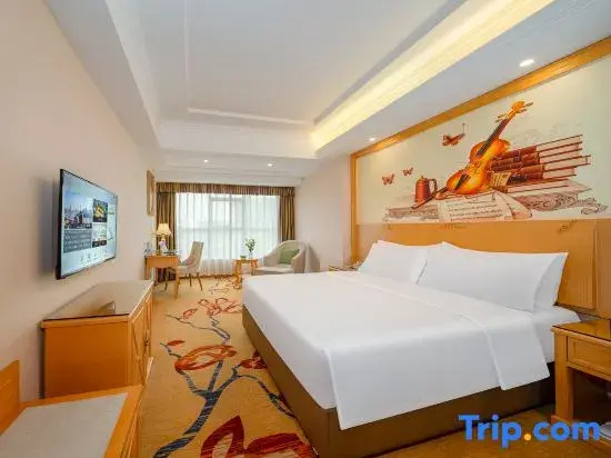 Vienna Hotel Dongguan Shatian Humen Port - Chambres