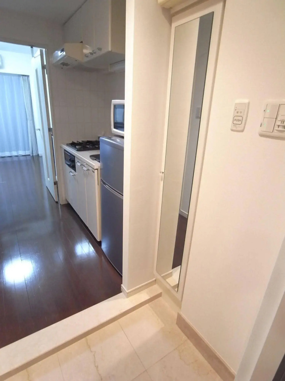 Palace Studio Akasaka Nibankan - Général