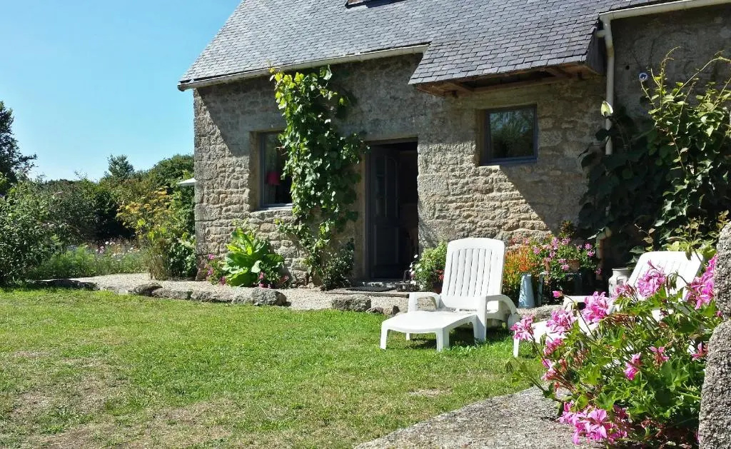 Voir la photo 2 — Les Papillons