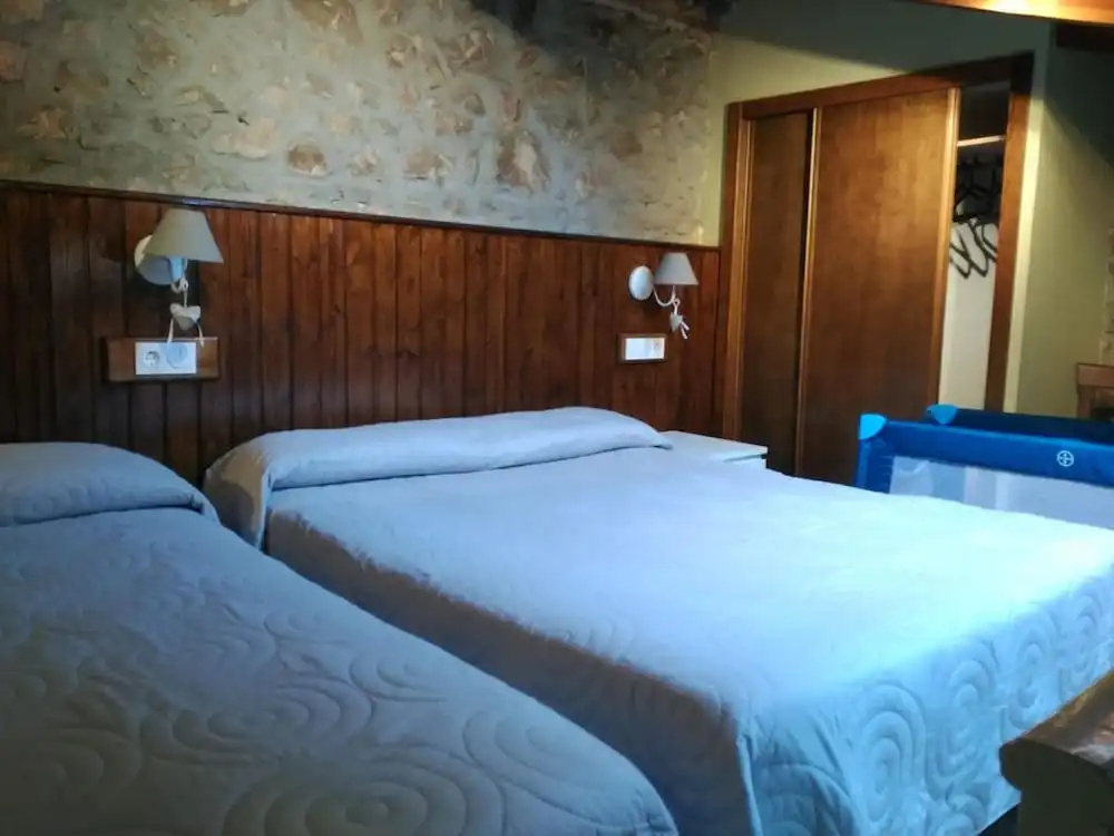 Hotel y Apartamentos El Camín - Général