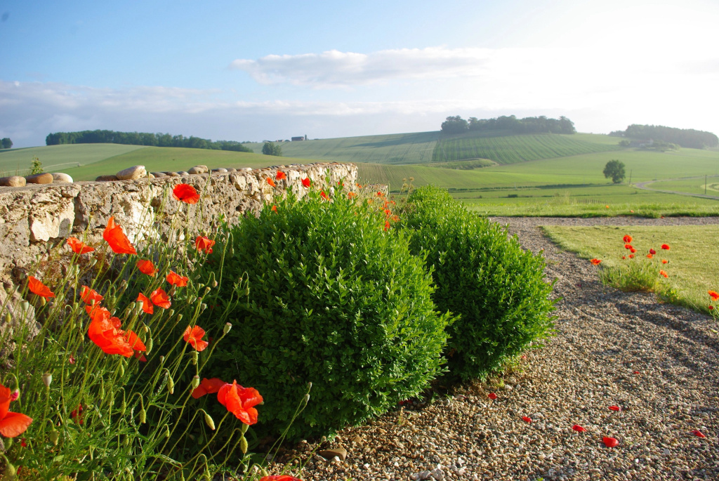 Le Hameau des Coquelicots - Général