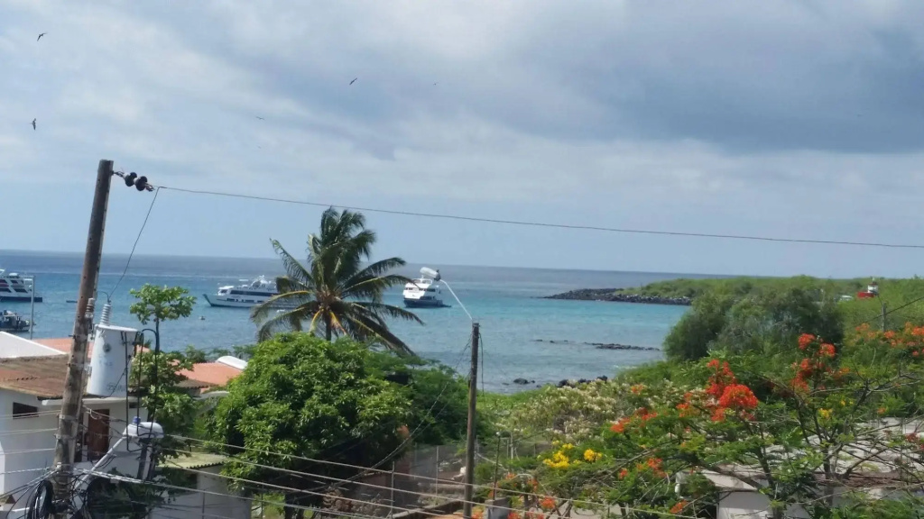 Hotel photo 33