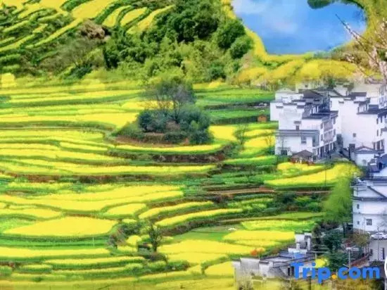 Wuyuan Fanshe・Life Qingshe Xiangye Boutique Stay (Huangling Scenic Area)