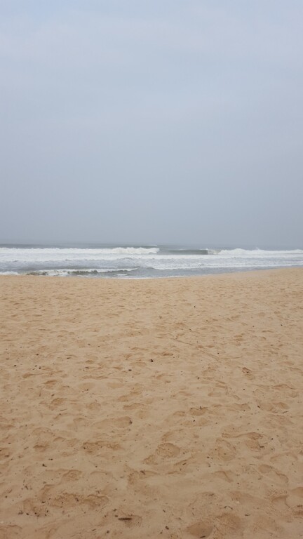 Image 21