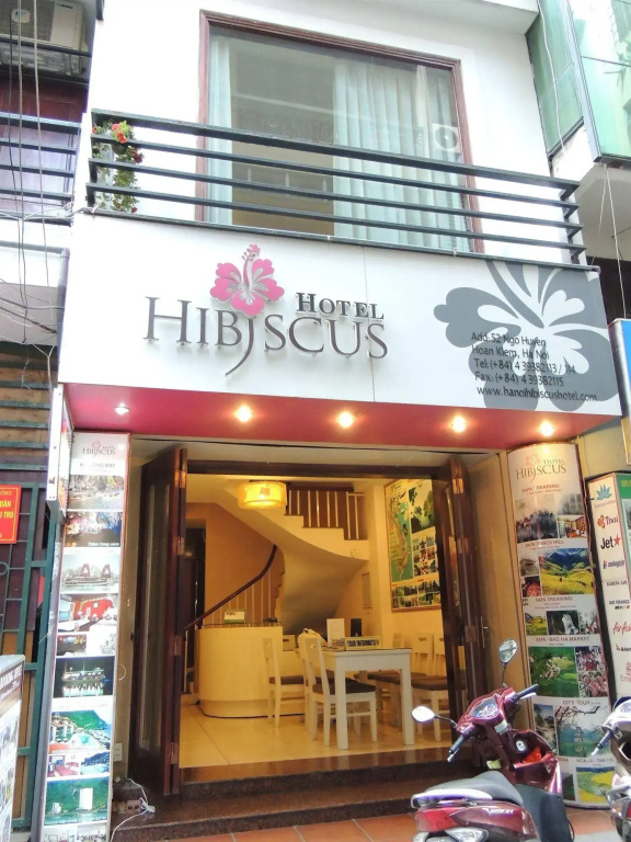 Hanoi Hibiscus