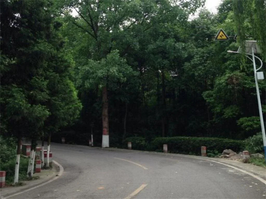 Mianyang Luofushan Hongyun Hostel