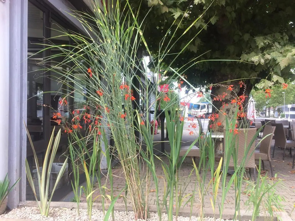 La Hourquie Café