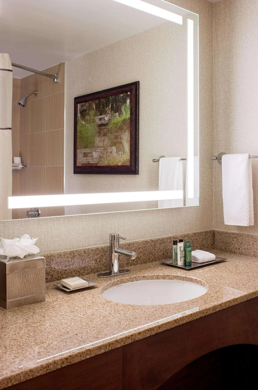 Hilton Houston Galleria Area - Général