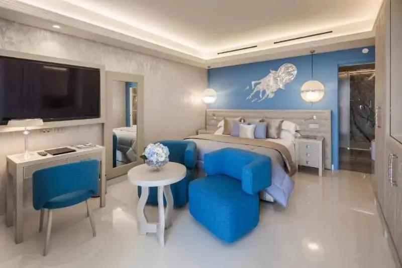 Superior Double room (full double bed)