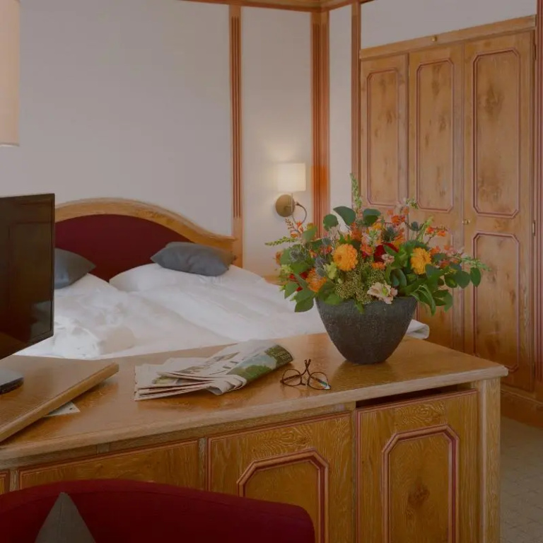 Standard Double room (full double bed)