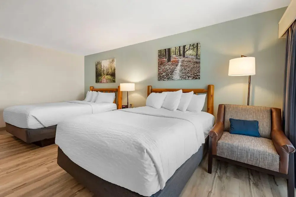 Three Bears Waterpark Resort Near Tomah, an Ascend Collection Hotel - Chambres