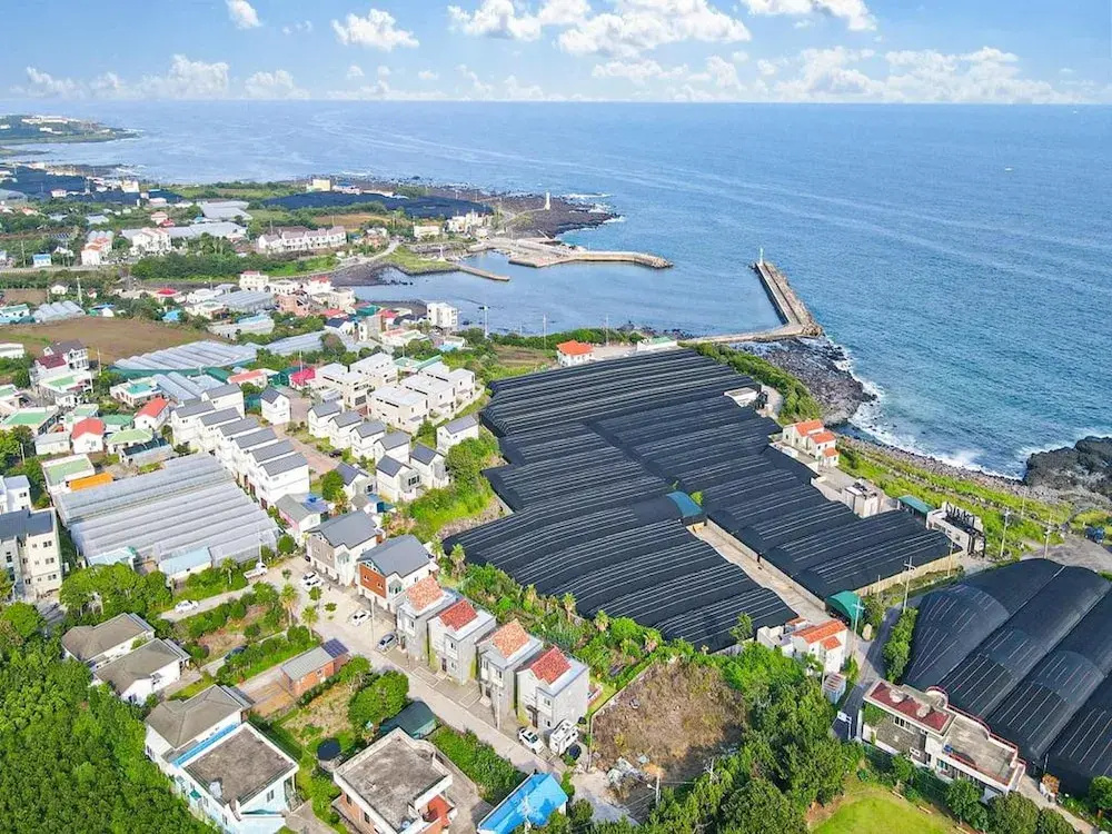 Jeju Haebaragi Pension