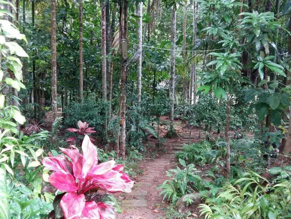 Sab Ananta Resort @ Ratchakrud Ranong - фото 12