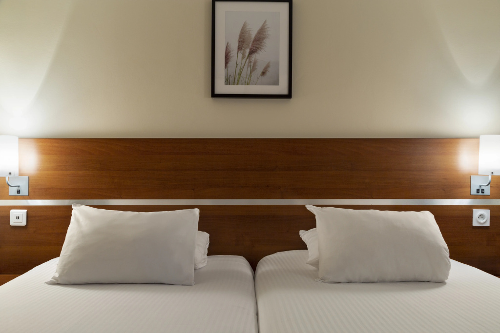 Comfort Hotel Aeroport Lyon St Exupery - Général