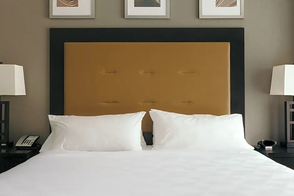 1 Bedroom Double Suite (full double bed)