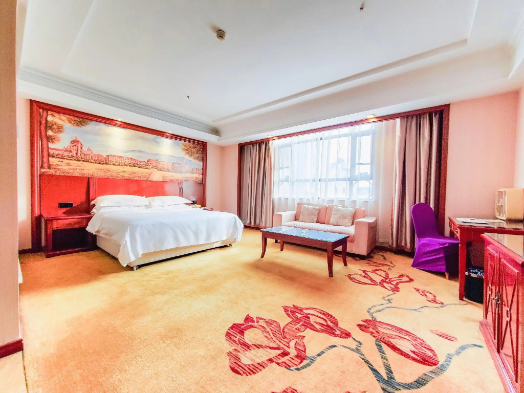 Vienna Hotel — 3
