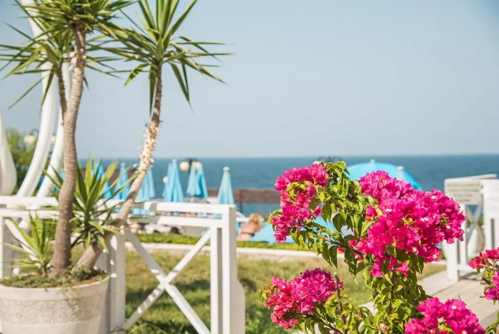 Eskada Beach - Général