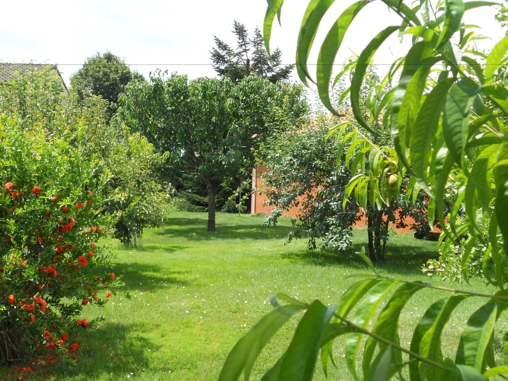 Au Paradis Vert
