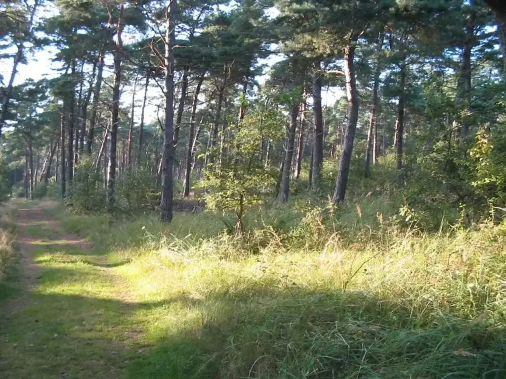 4 Person Holiday Home in Vaeggerlose