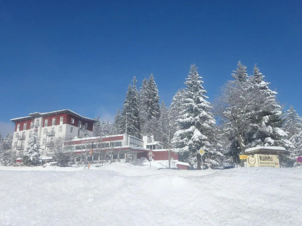 Waldhotel am Notschreipass