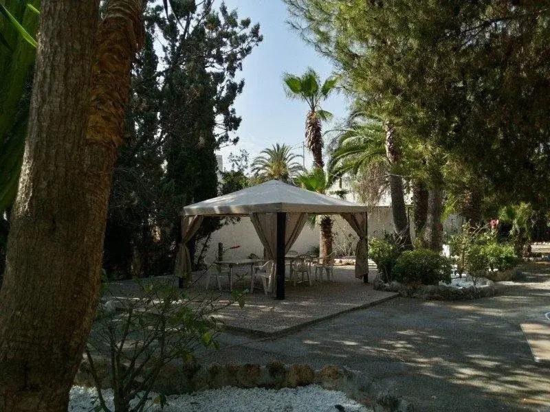 Apartamentos Palasiet