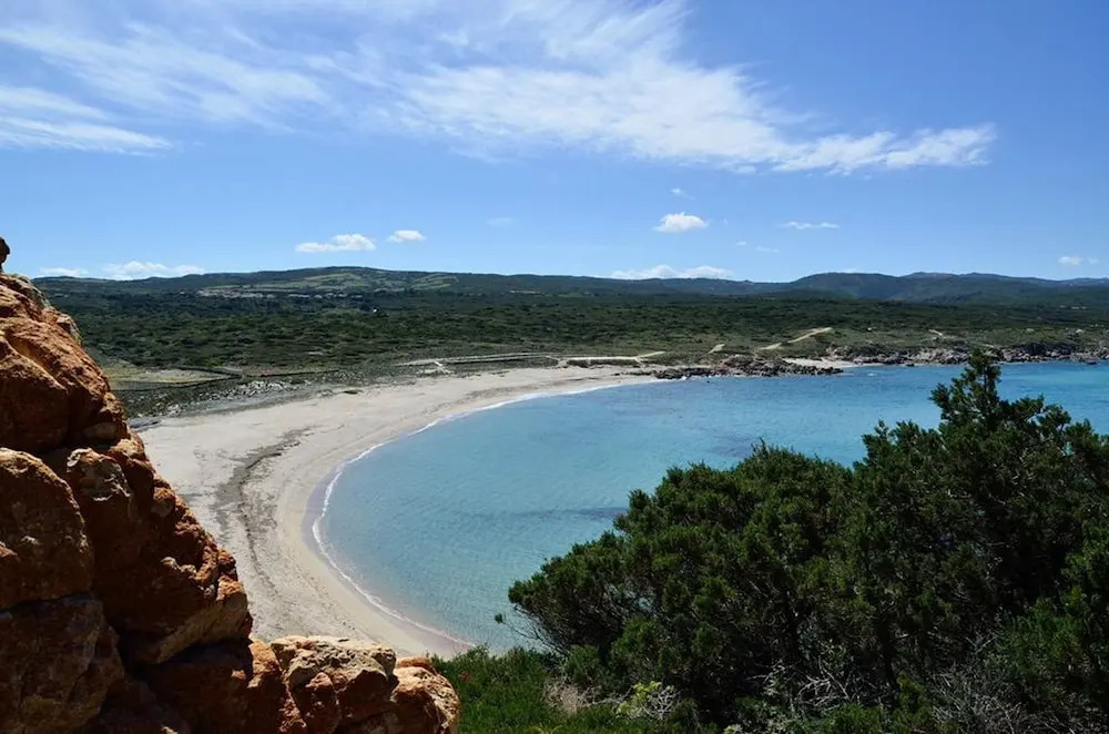 Palau City Hotel - фото 24