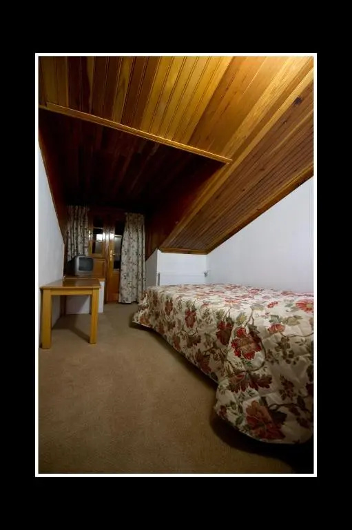 Standard Family Attic room