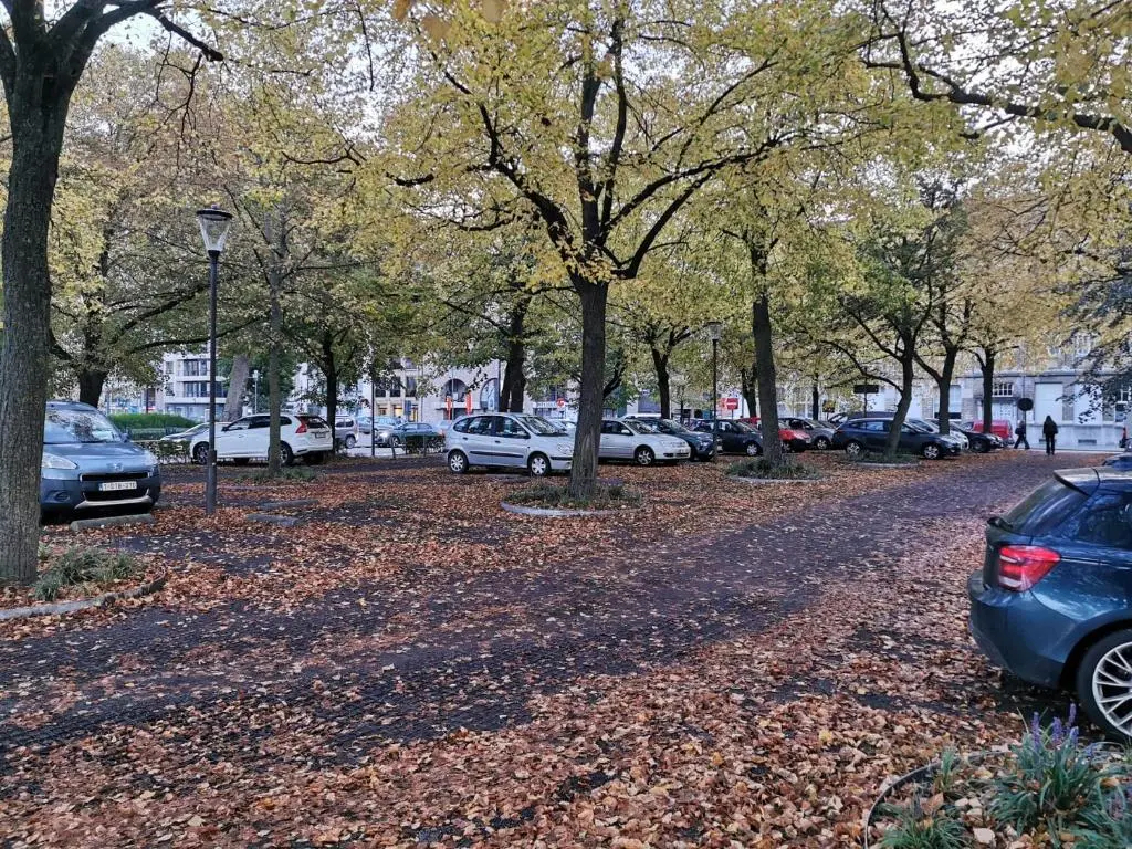 Vakantiehuis H&A 4 Sterren - фото 12