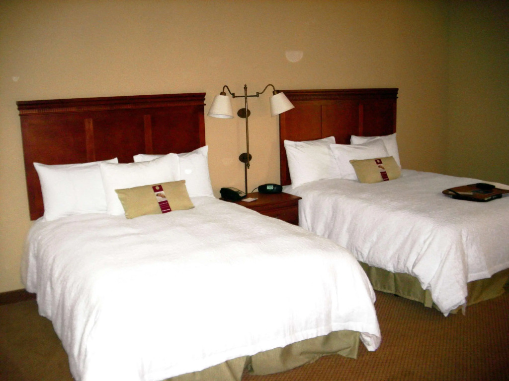 Hampton Inn Greenville — фото 6