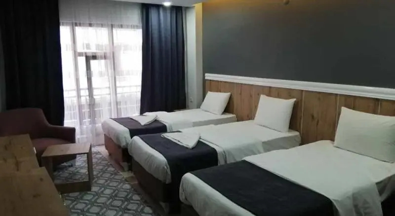Comfort Hotel Van — 5