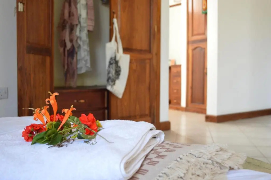 Deluxe Double room with balcony (full double bed)