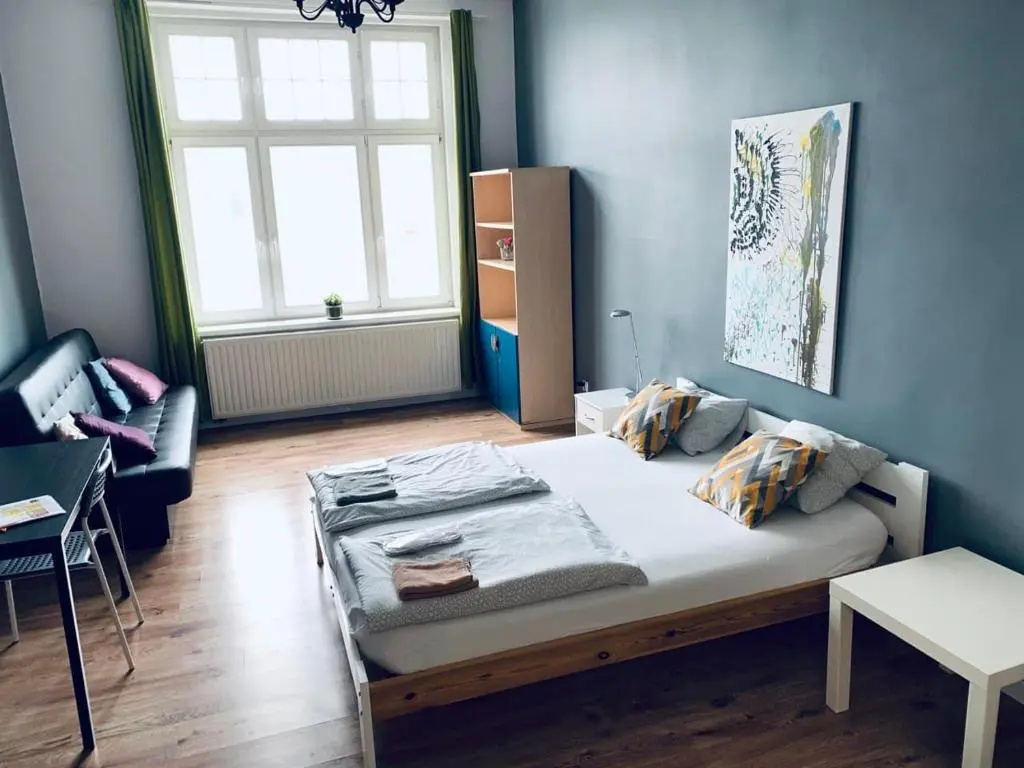 Standard Double room (full double bed)