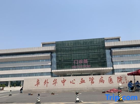 The Elephant Lake Boutique Hotel in Zhengzhou
