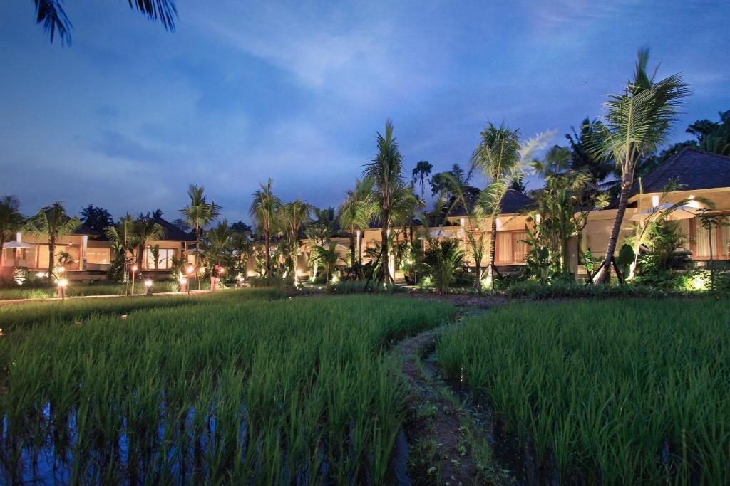 The Sankara Resort