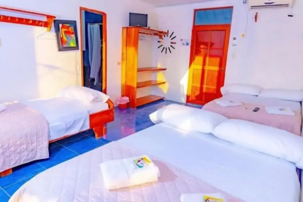 1 Bedroom Standard Triple room