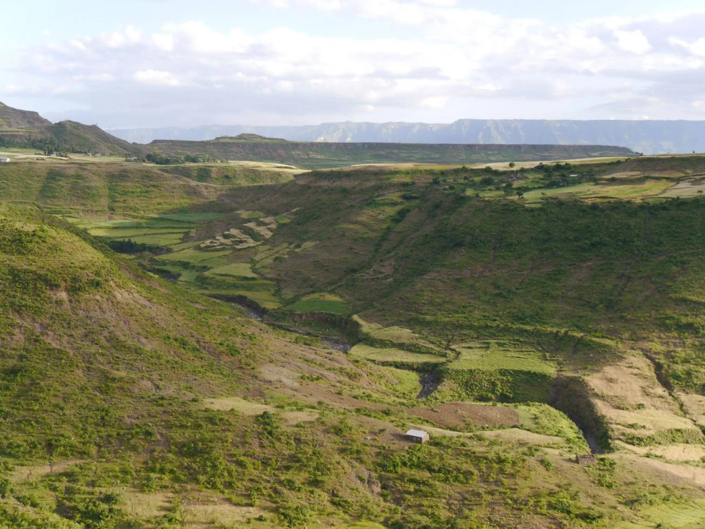 Image 15