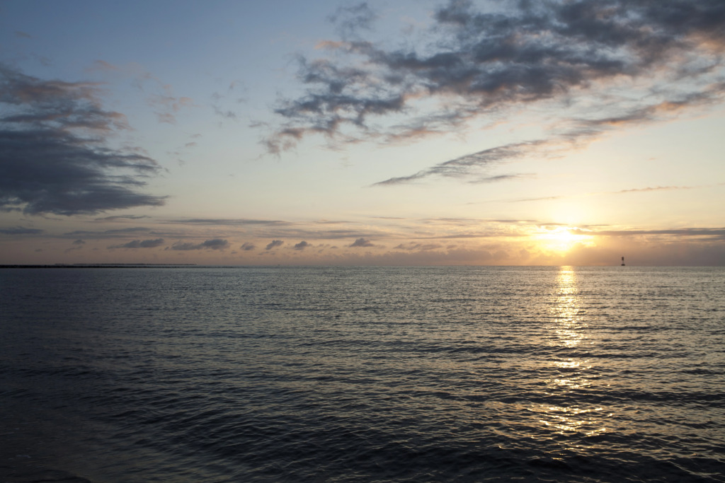 Image 15