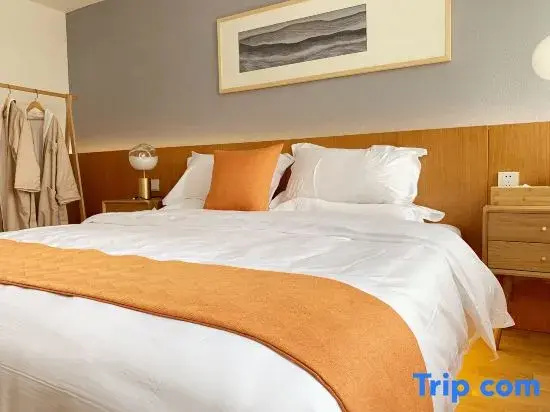 Vienna Hotel Shenzhen Pinghu Center Metro Station - Chambres