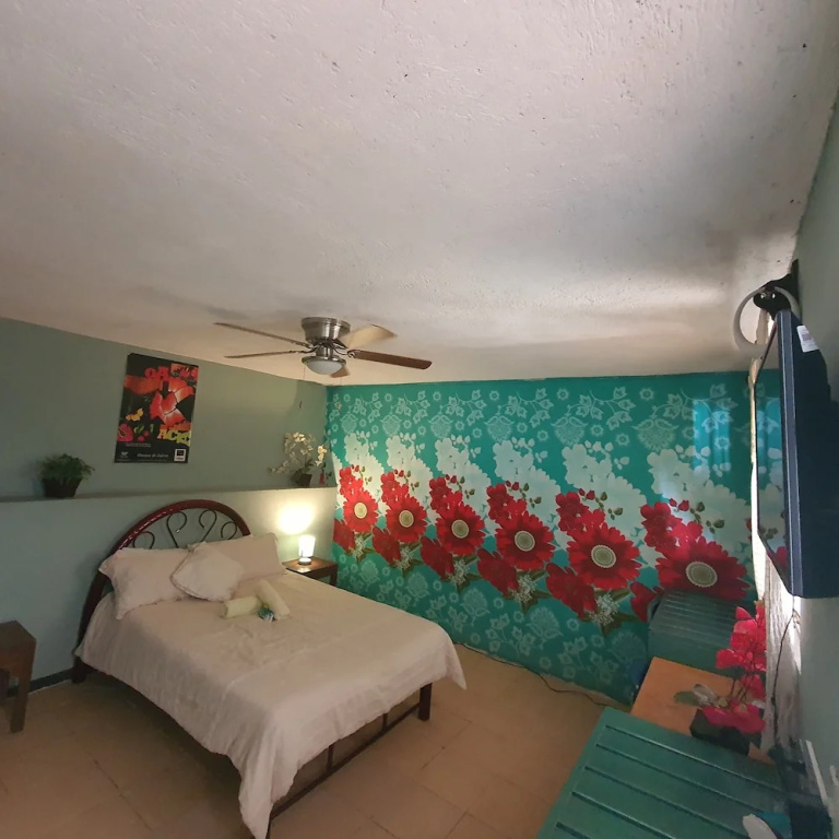 Standard Double room (full double bed)