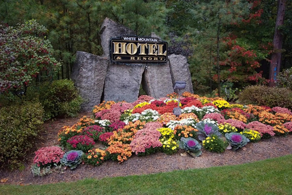 The White Mountain Hotel & Resort - фото 34