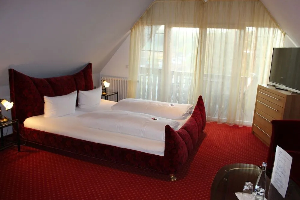 Parkhotel Krone - Général