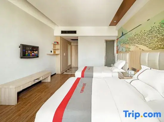 Superior Double room (twin beds)
