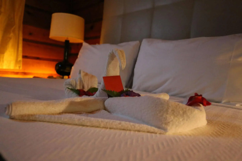 Mangos Boutique Beach Resort - Général